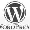 Web担当者のためのWordPressがわかる本 [2015]